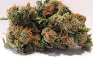 Buy Sour Diesel Online: Perfect for Powerful Daytime Pain Relief